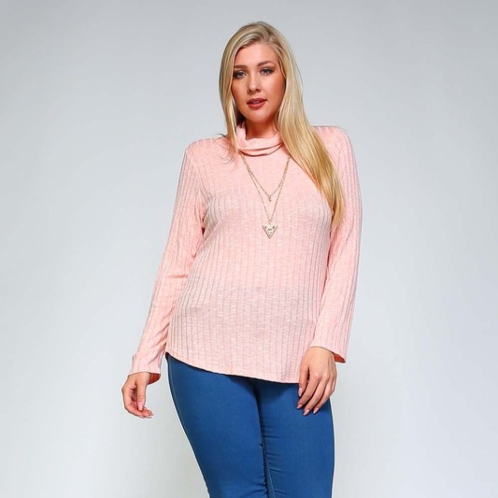 Pink Plus Size Sweater